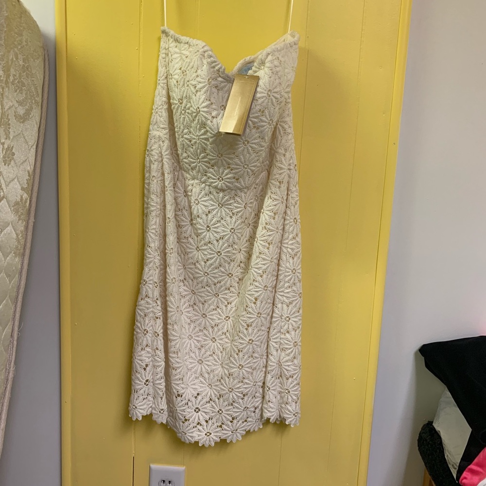 Large women’s dress from Francesca’s